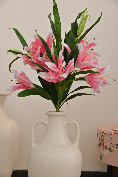 Lilium Medium Pink Flower
