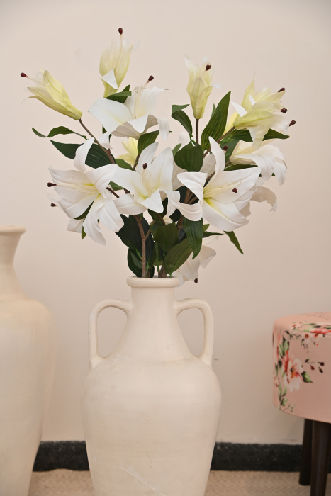 Lilium White Flower