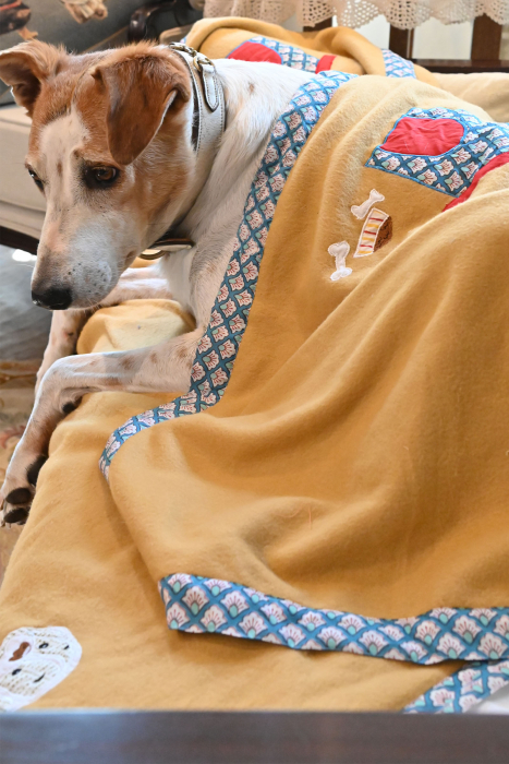 Beige Doggy Blanket