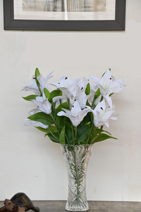Asiatic Lily White